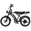 RCB RK29 Electric Bike for Adults(RCB E BIKE)