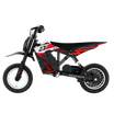 RCB R9X Electric Motocross Dirt Bike