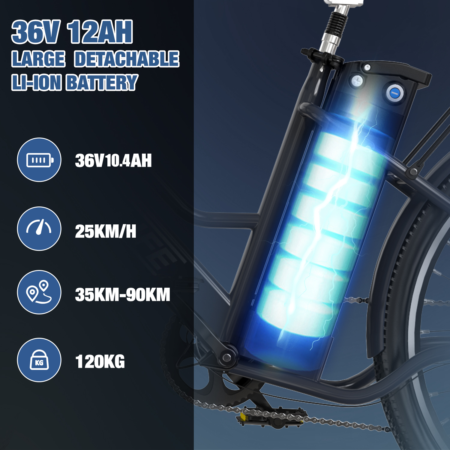 RCB RK8S Electric Bike for Adults(RCB E BIKE)