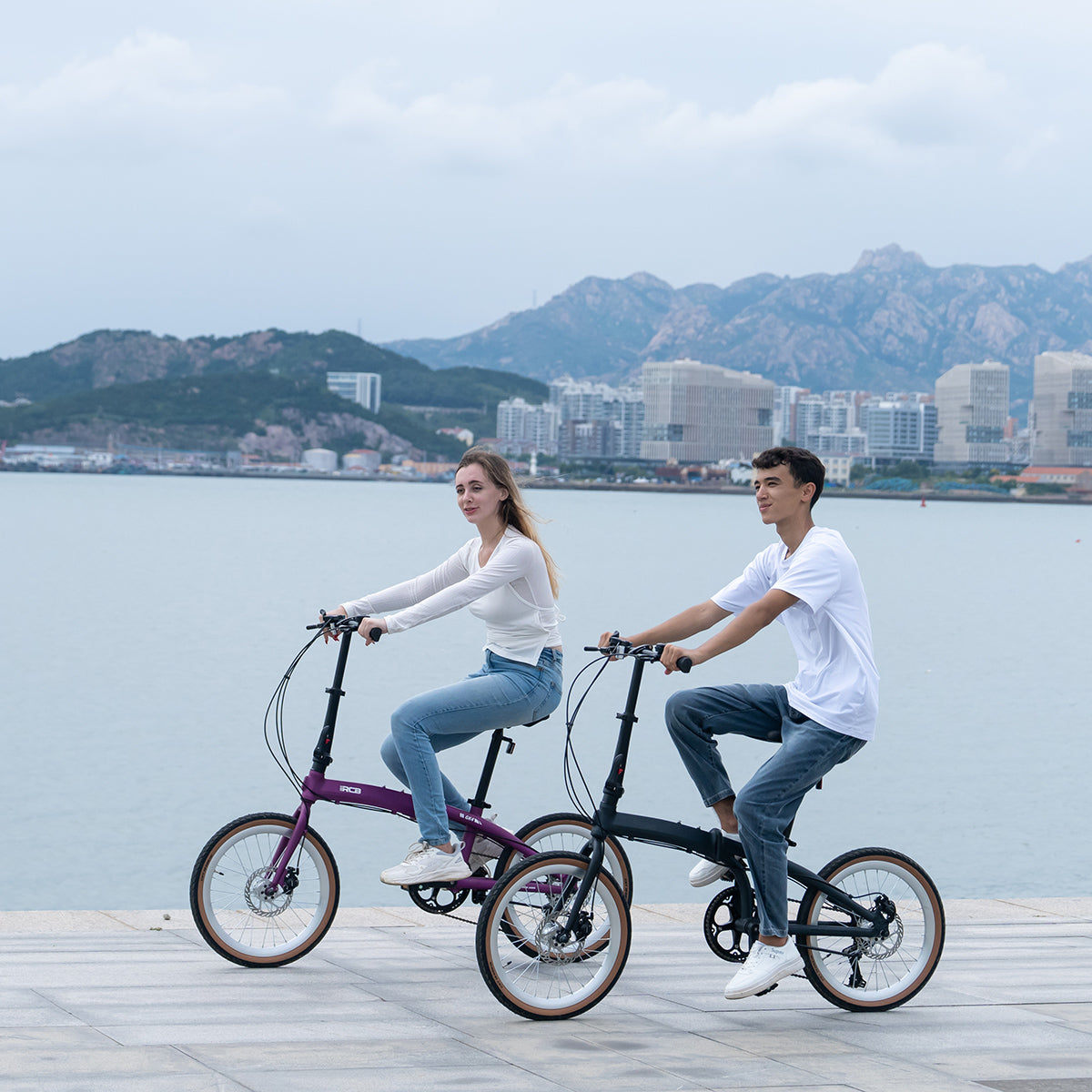 RCB GK4 Folding Portable City Bike (No electric)
