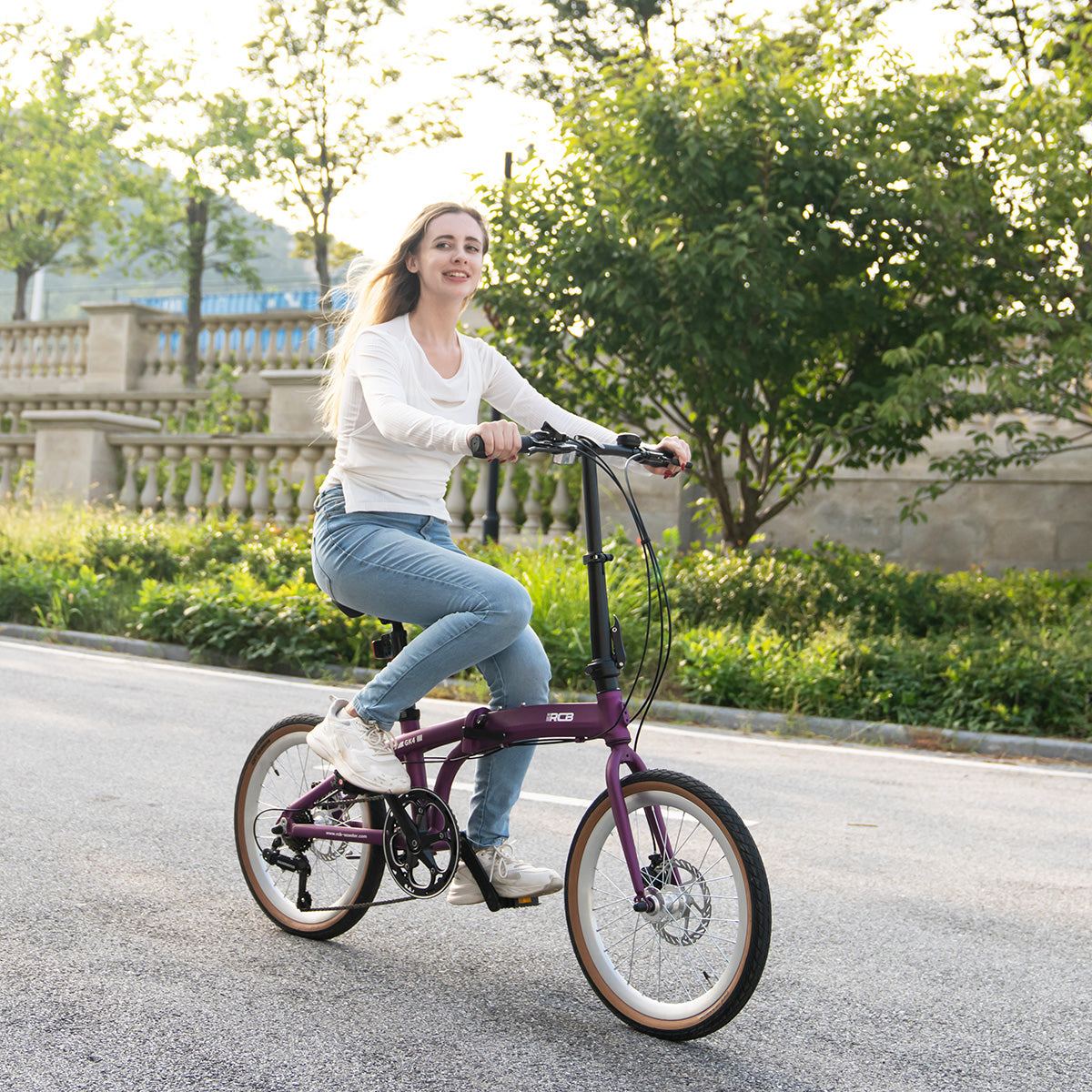 RCB GK4 Folding Portable City Bike (No electric)