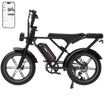 RCB G19 Electric Bike for Adults(48V20.8Ah)