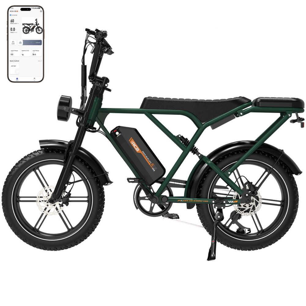 RCB G19 Electric Bike for Adults(48V20.8Ah)