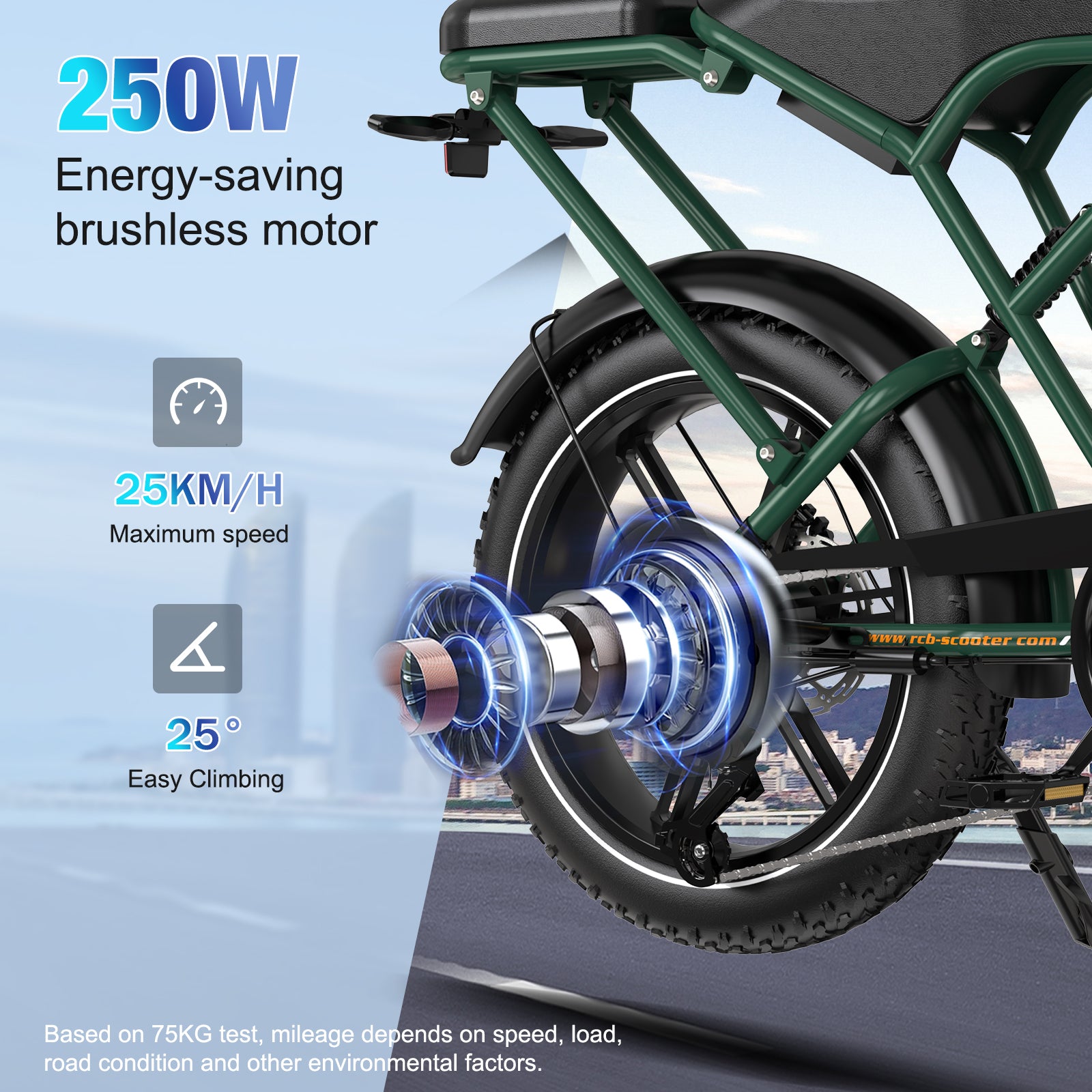 RCB G19 Electric Bike for Adults(RCB APP E BIKE)