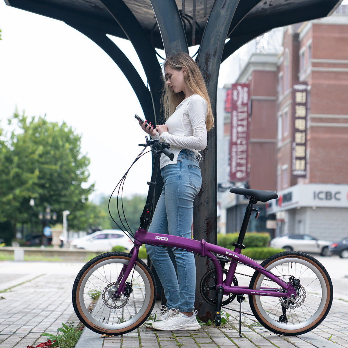 RCB GK4 Folding Portable City Bike (No electric)