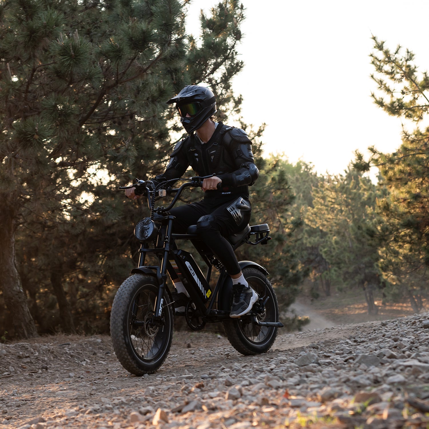 RCB RK29 Electric Bike for Adults(RCB E BIKE)